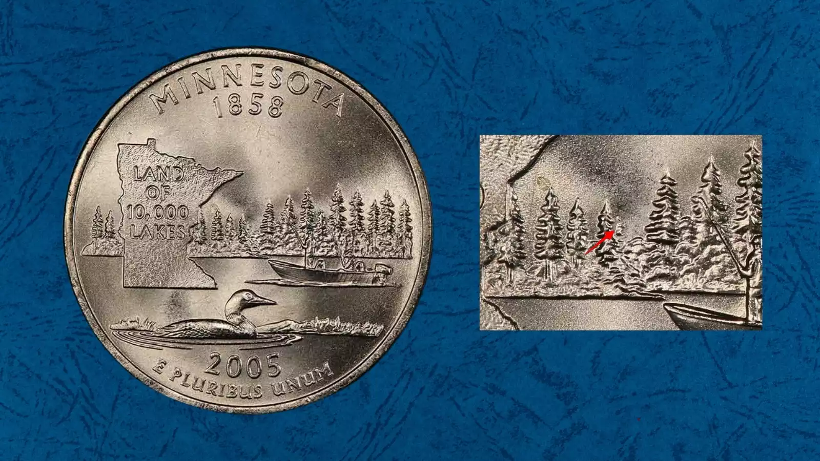 Close-up of 2005 Minnesota quarter reverse showing doubled die extra tree error in the treeline above the lake