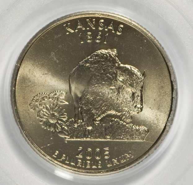 Close-up of 2005-P Kansas quarter showing Humpback Bison die crack error with raised blob on the bison's back